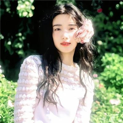 狗狗监护权