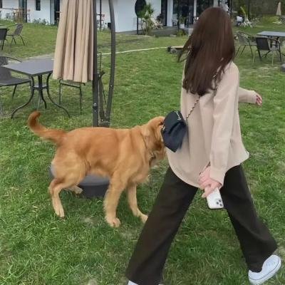 爱与黑暗的故事